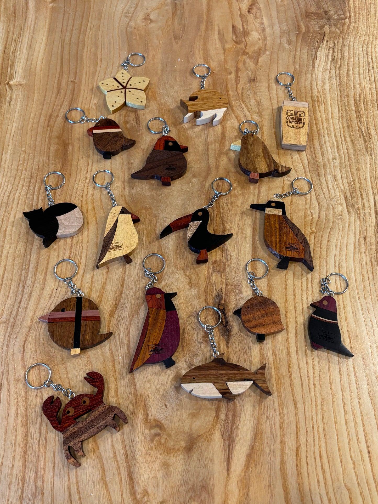 Great kiskadee (Brazilian Bem-te-vi)