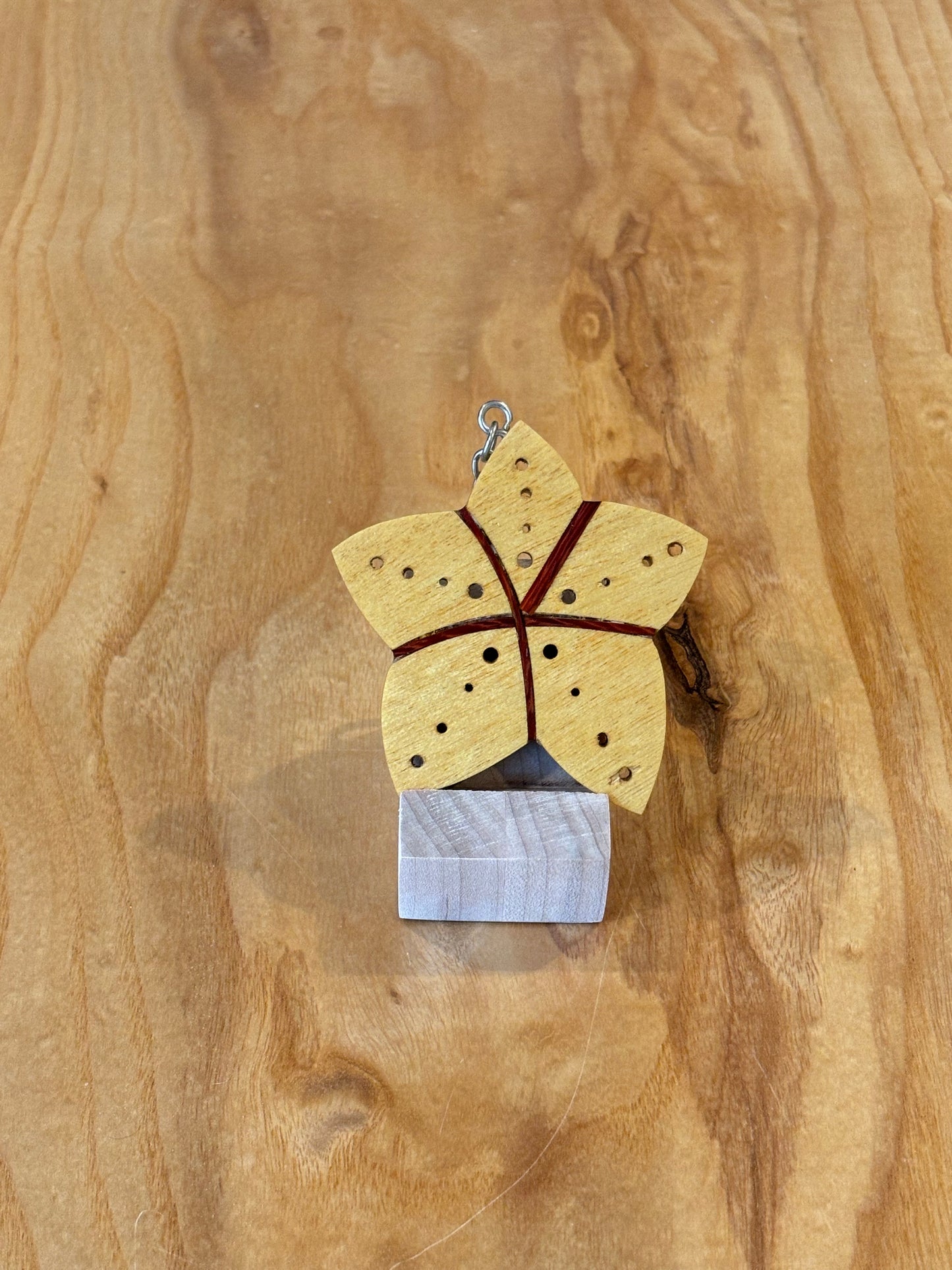 Star fish Keychain